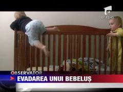 Maestru al evadarilor