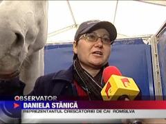 Observator de weekend