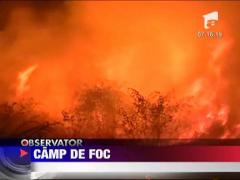 Incendiu dezastruos in Mehedinti