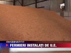 Tinerii migreaza la tara