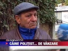 Politia din Vrancea a pus gand rau cainilor de politie lenesi