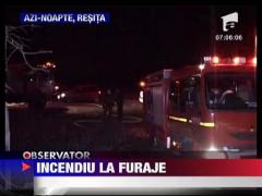 Incendiu la furaje