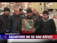 Salvatorii din Turcia nu se dau batuti