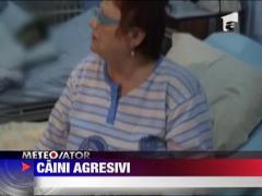 Femeie agresata de caini la Orsova