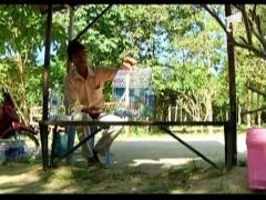 Pui de leoparzi salvati din ape