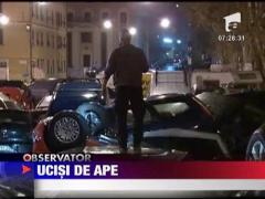 Furtuna-monstru la Genova: 7 morti, orasul e sub ape