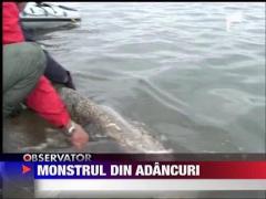 Doi pescari din Jiu au facut captura vietii lor