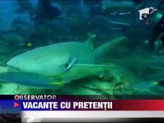 Vacante de lux pentru romani