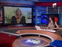 Elevii din Timisoara ar putea intra in scoli doar pe baza amprentei digitale