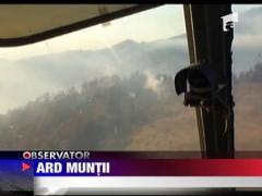 Focul face prapad in Muntii Rodnei