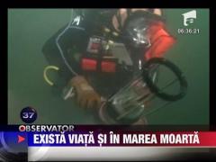 In Marea Moarta exista viata!