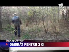 Cioban omorat pentru 3 oi