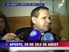 Sorin Apostu, 29 de zile de arest