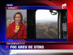 Incendiu greu de stins