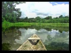 Observator 16 Weekend