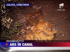 Om al strazii ars in canal