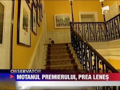 Celebrul motan Larry risca sa ramana somer