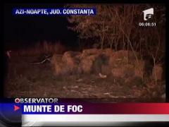 4000 de baloti arsi azi noapte