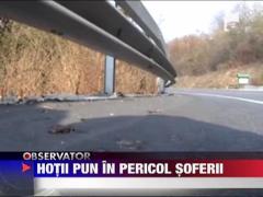 Hotii pun in pericol soferii