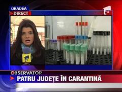 Carantina in patru judete din Romania