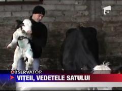 Observator 13 Weekend