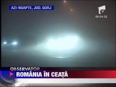 Accidente in lant din cauza cetii