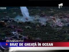 Brat de gheata pe fundul oceanului