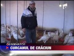 Observator de weekend