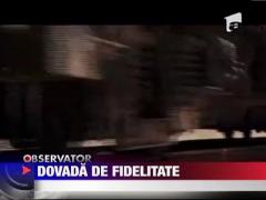 Un patruped isi asteapta de 3 luni, intr-o statie de autobuz, stapanul care l-a abandonat