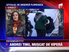 Andrei Lucinu Tinu, muscat de vipera