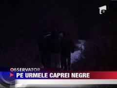 Pe urmele Caprei Negre