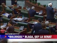 Vasile Blaga, noul presedinte al Senatului