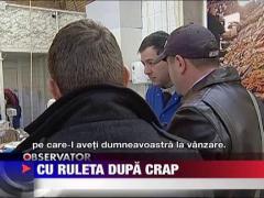 Razie la pescaria Obor