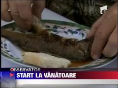 Start la vanatoare de iepuri