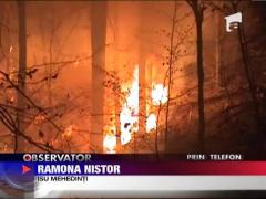 Observator 16 Weekend