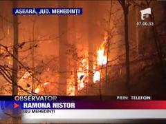 Paduri arse in Mehedinti