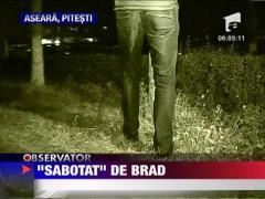 A cazut dintr-un brad de 20 de metri