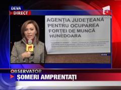 Someri amprentati in Hunedoara