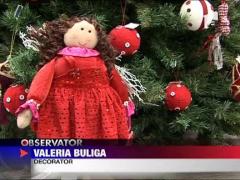 Brazi in pas cu moda