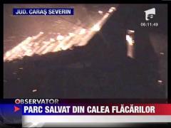 Incendiu in Parcul Natural Domogled