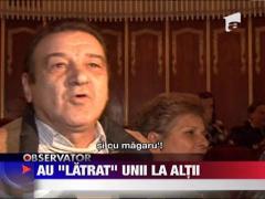 Scandal ca la usa cortului la prima dezbatere a legii cainilor maidanezi