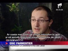 Pestii care musca pot sa si latre!