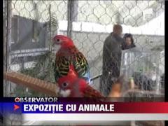 Observator 13 Weekend