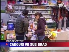 Observator de weekend