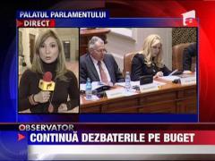 Dezbateri pe marginea bugetului