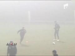 Ceata se lasa in ajutorul Stelei