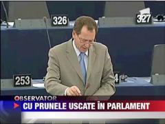 Prunele subiect de dezbatere in Parlamentul European
