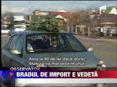 Brazii de peste granita sunt mai desi si mai scumpi