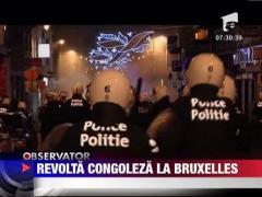 Revolta congoleza la Bruxelles