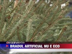 Bradul de plastic strica traditia si nu e ECO